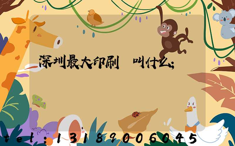 深圳最大印刷廠叫什么