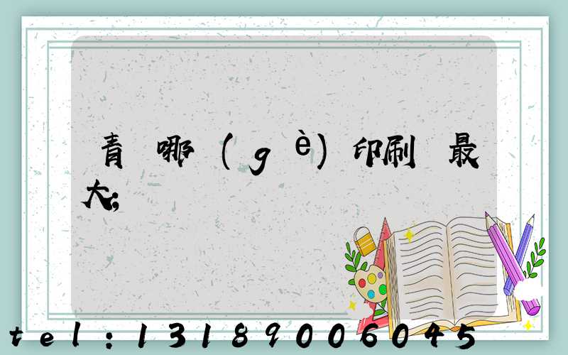 青島哪個(gè)印刷廠最大